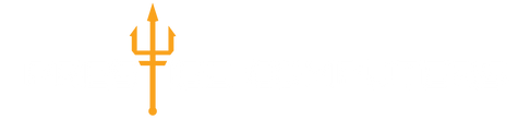 Prestige Computers